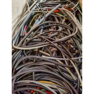 2024042601004117191n.jpg thumb_400x400_2023072821242716983c.jpg